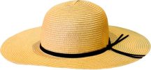 pngfind.com-pilgrim-hat-png-42567